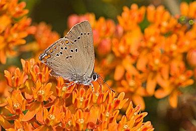 《Air Twister》将推NS和PS5特别版 提供多种赠品